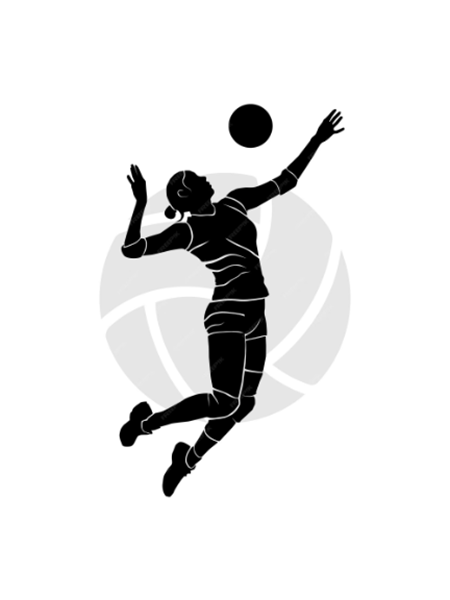 MATTIA METELLI | Hitter