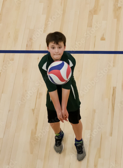 about volley maschile